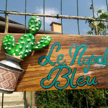 شقة Le Nopal Bleu Tarascon-sur-Ariège المظهر الخارجي الصورة