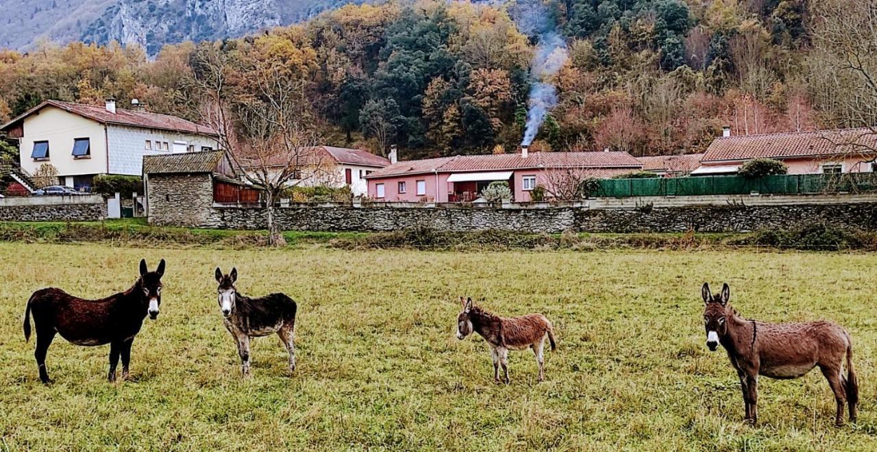 شقة Le Nopal Bleu Tarascon-sur-Ariège المظهر الخارجي الصورة
